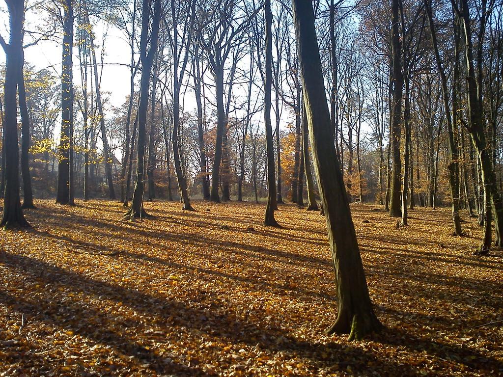 Apartmany Chodov Prague Exterior photo